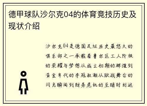 德甲球队沙尔克04的体育竞技历史及现状介绍